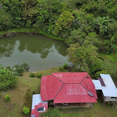 Albergue La Laguna Puerto Jimenez Ngoại thất bức ảnh