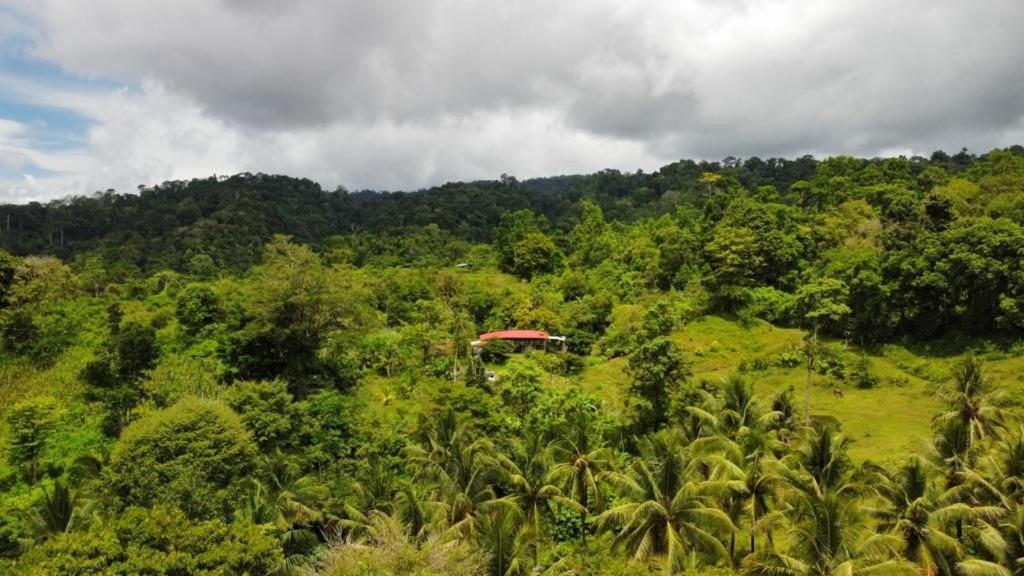 Albergue La Laguna Puerto Jimenez Ngoại thất bức ảnh