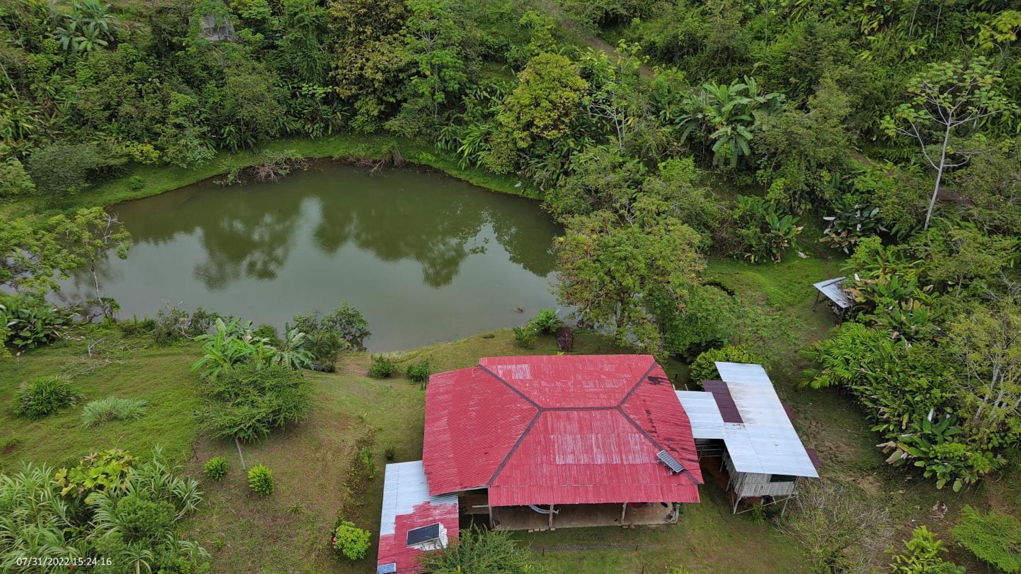 Albergue La Laguna Puerto Jimenez Ngoại thất bức ảnh