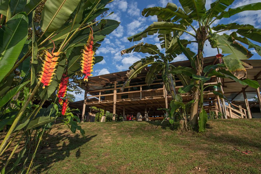 Albergue La Laguna Puerto Jimenez Ngoại thất bức ảnh