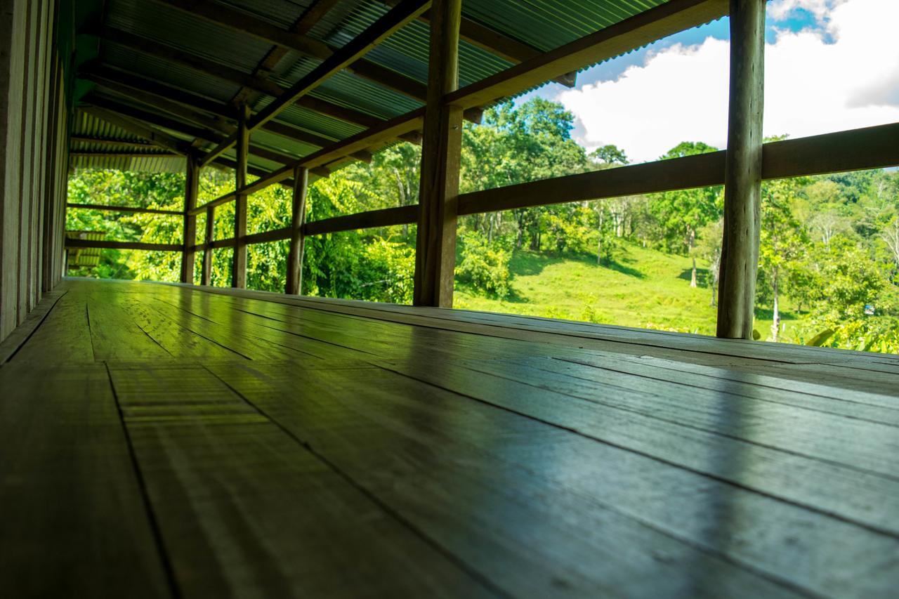 Albergue La Laguna Puerto Jimenez Ngoại thất bức ảnh